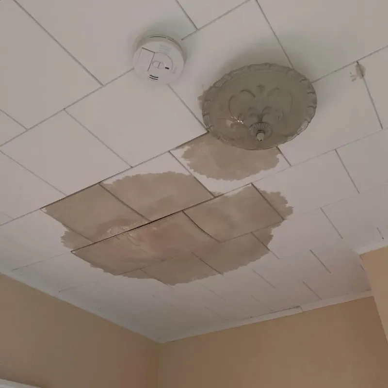 Ceiling Water Damage Repair in Crandon, WI