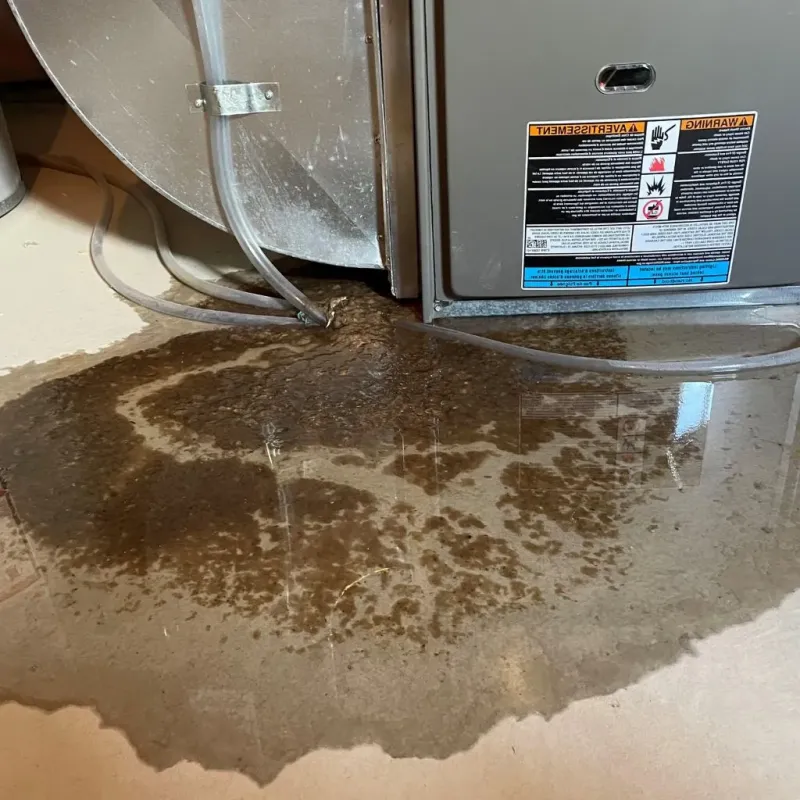 Pipe Burst and Leak Restoration in Crandon, WI