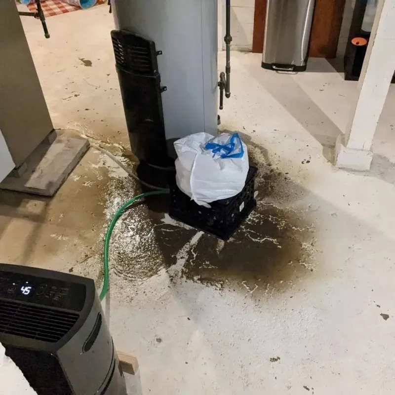 Sewage Backup Cleanup Service in Crandon, WI